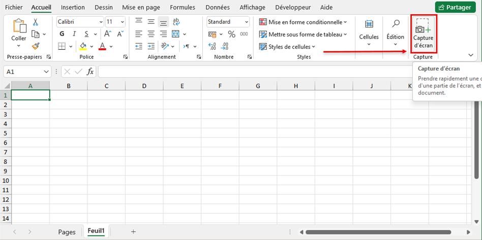 Utiliser l'outil de capture d'écran dans Excel