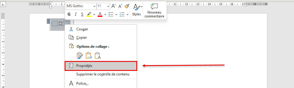 Propriétés formulaire Word