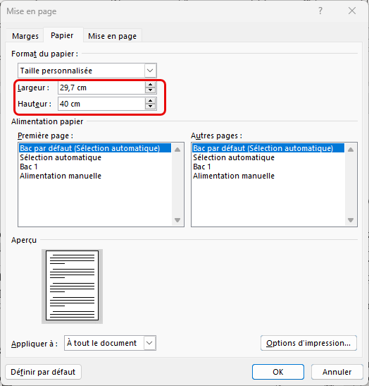 format A3 document Word